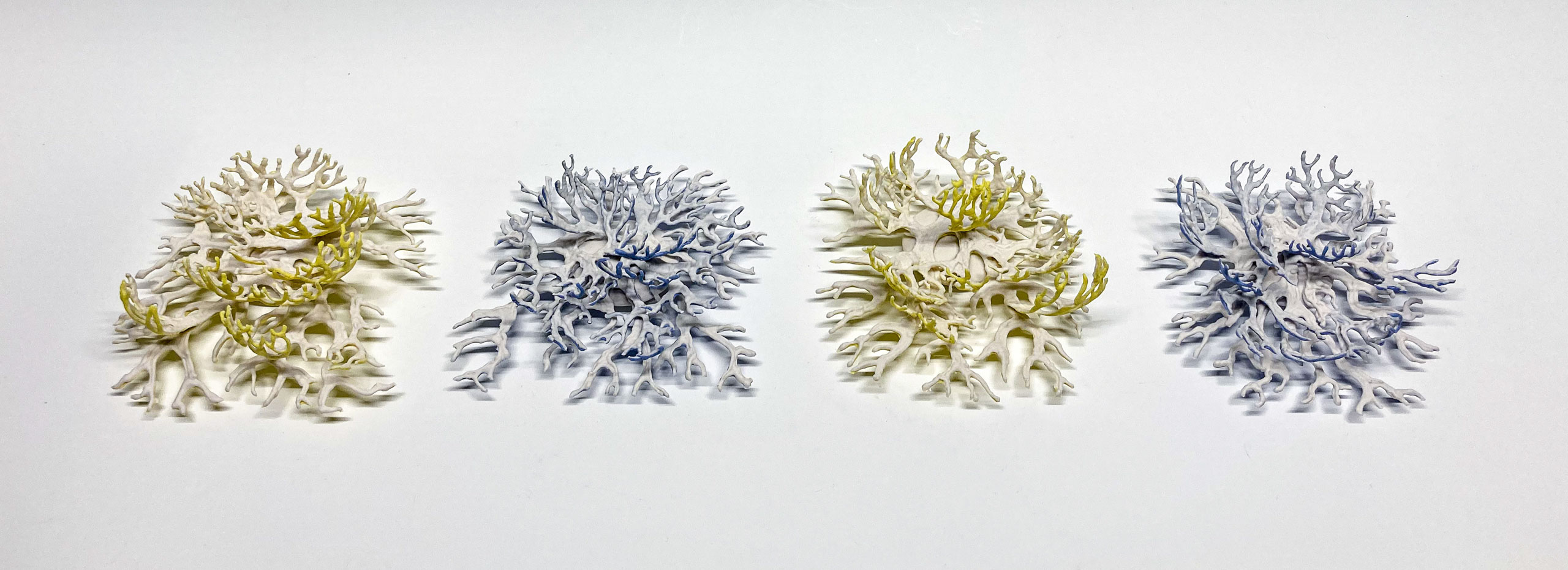 Curlicued Laceware - Natalie Andrew
